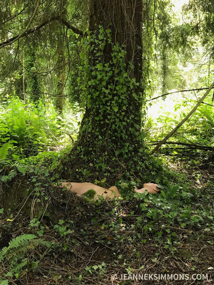 Jeanne Simmons' 2020 Womanscape.